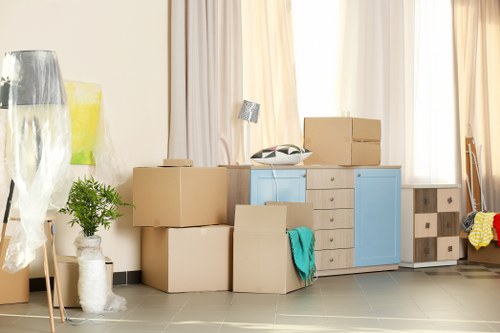 Moving boxes and recycled packing materials during a sustainable van service
